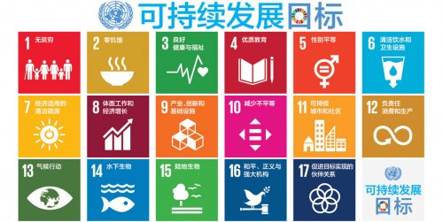 联合国报告: 各国在日益严峻的全球挑战中努力实现可持续发展目标