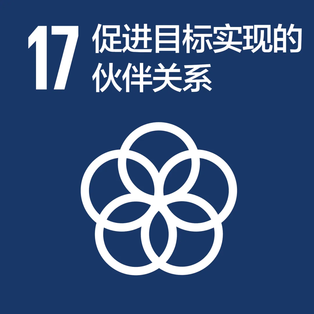 C icon 缩略.png