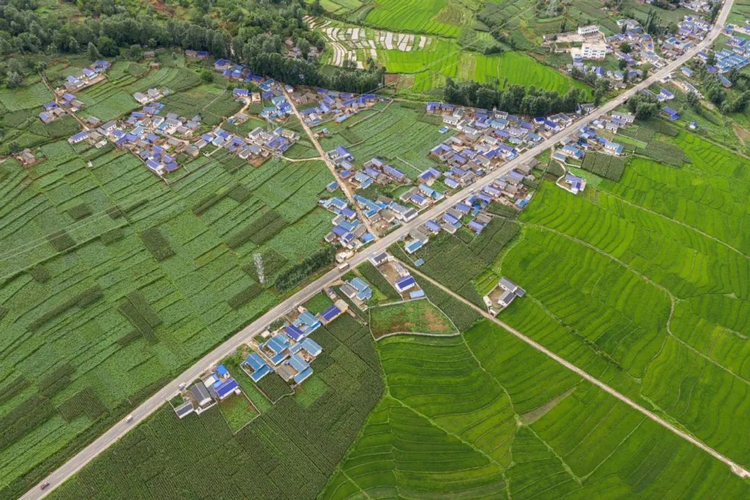 2-Xinhua.jpg