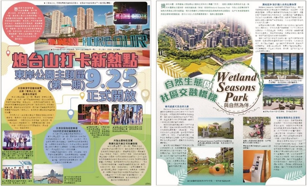 内容示例2.jpg