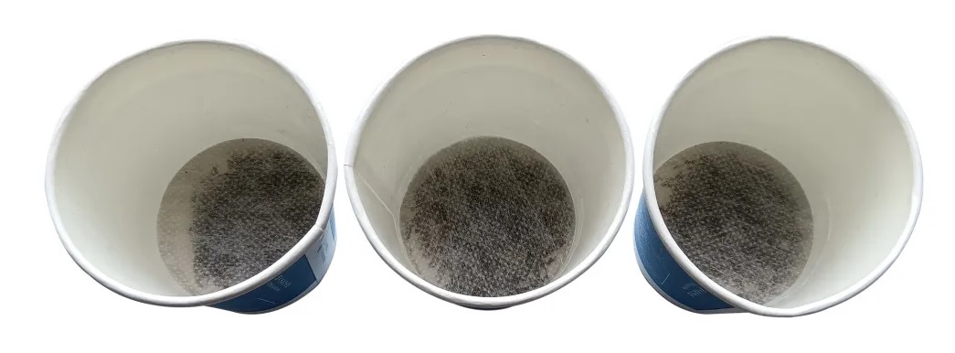 帕乔里茶s.jpg